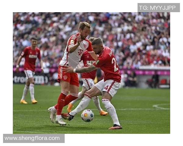 曼联与尤文图斯球迷网的激情碰撞与交流盛宴