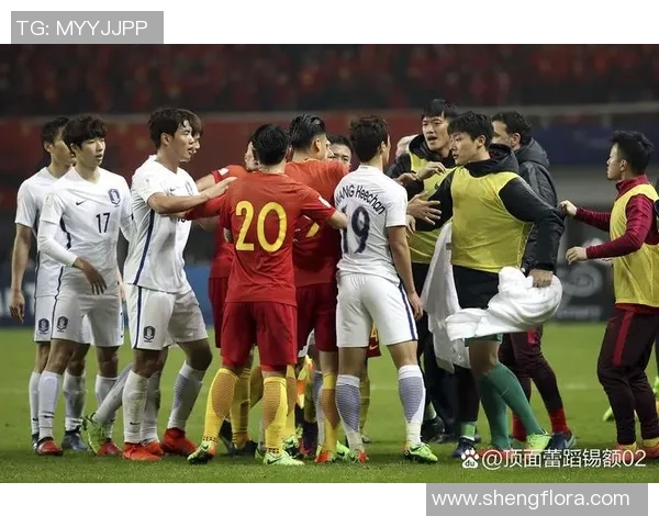 澳大利亚与英格兰的激烈对决揭示两国体育精神与文化的碰撞与交融