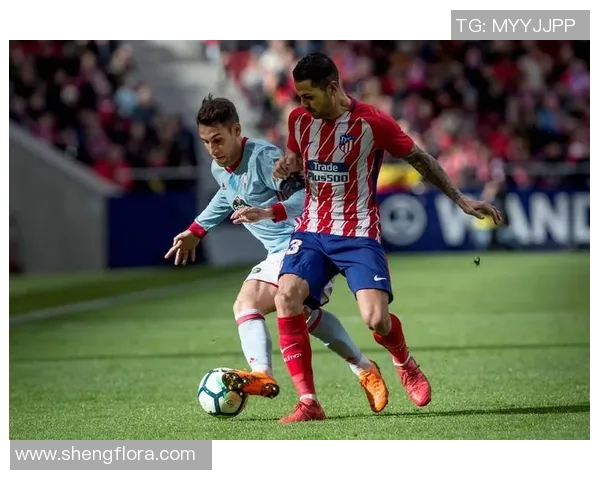 马里迪莫与托德拉的激烈对决谁能在这场比赛中脱颖而出